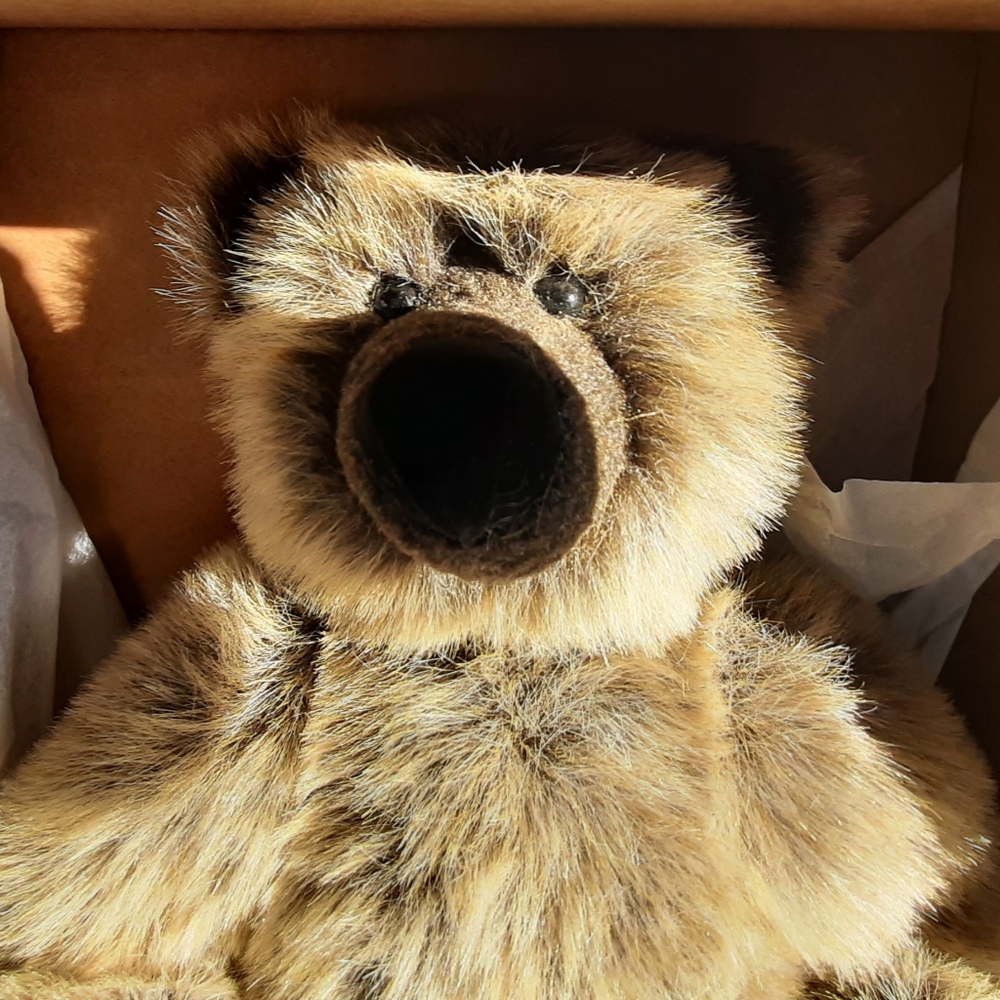 "Momma Paws" Collectible Limited Edition Gund Bear